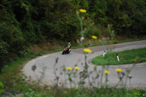 Bologna-San-Luca-2025_DSC_0449